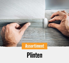 Plinten | HORNBACH