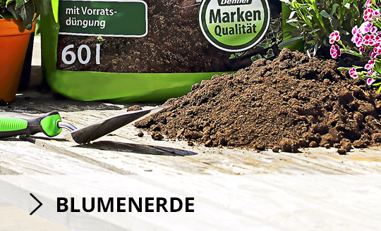 Blumenerde