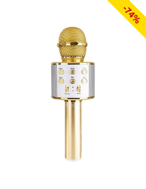 Karaoke-Mikro mit Lautsprecher, Bluetooth