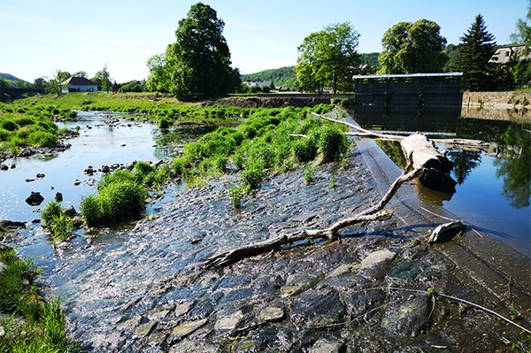 Verstoß gegen Sächsisches Fischereigesetz NABU Sachsen erstattet Anzeige gegen Wasserkraftanlage