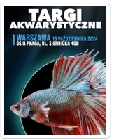 Targi Akwarystyczne