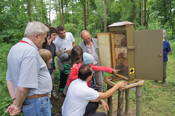 Entdecke Naturwunder in Thüringen Abwechslungsreiches Programm zum „Langen Tag der Natur“