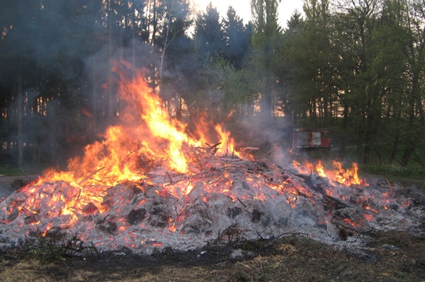 Osterfeuer vorher umschichten! Osterfeuer können zum Scheiterhaufen für Tiere werden