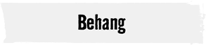 Behang | HORNBACH