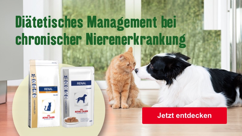 Diätetisches Management bei chronischer Nierenerkrankung