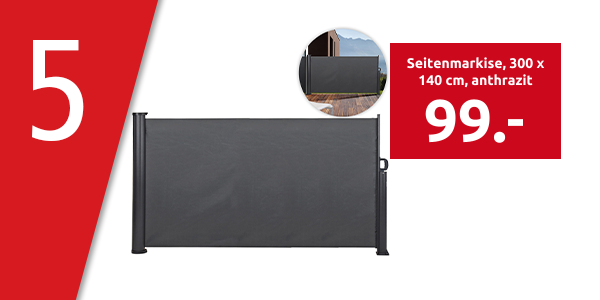 Seitenmarkise, 300 x 140 cm, anthrazit
