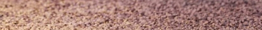 Shutterstock.com/Pixelshot