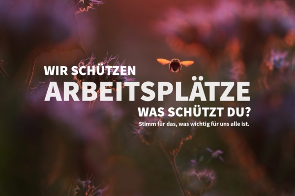Bundestagswahl 2025 Naturschutz wählen, Wachstum schützen
