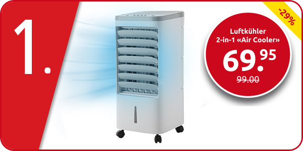 Luftkühler 2-in-1 «Air Cooler», 4 l