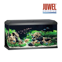 JUWEL Aquarium set Primo 110 2.0 zwart 110 L, 81x36x43,5 cm | HORNBACH