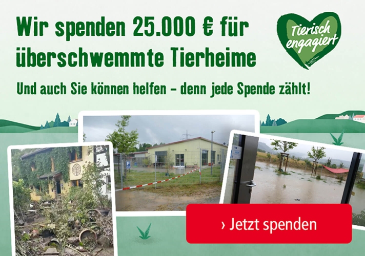 Wir spenden 25.000 € für überschwemmte Tierheime. Und auch Sie können helfen - denn jede Spende zählt!