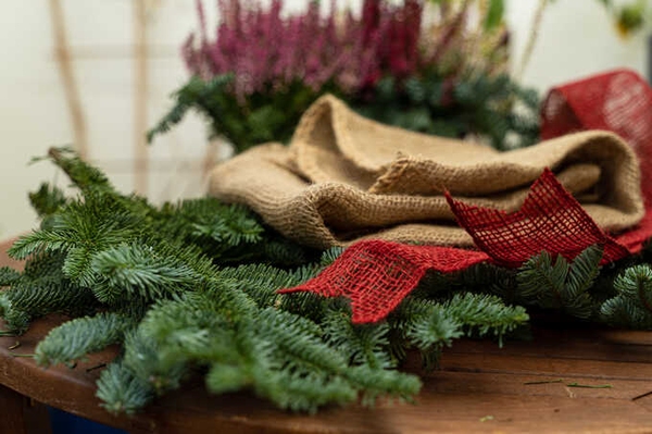 Die besten Weihnachtstipps in Kürze Der richtige Baum, Öko-Dekoration, Bio-Gans und Müllvermeidung