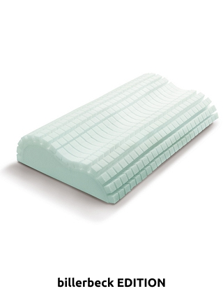 Kissen «Vita Aloe Vera»