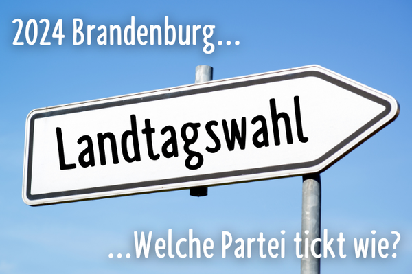 Landtagswahl 2024 in Brandenburg Welche Partei tickt wie?