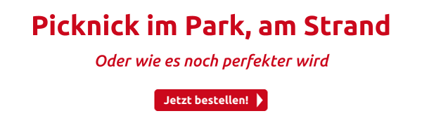 Picknick im Park, am Strand