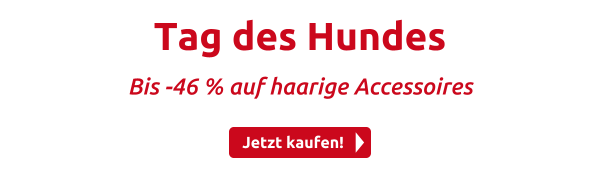 Tag des Hundes