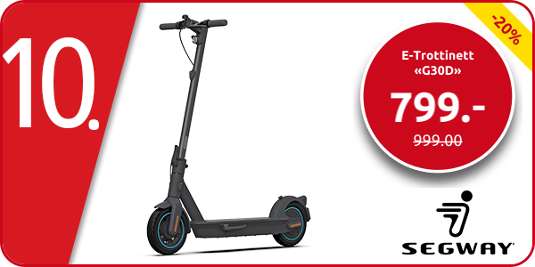 Segway E-Trottinett «G30D», 65 km, 20 km/h
