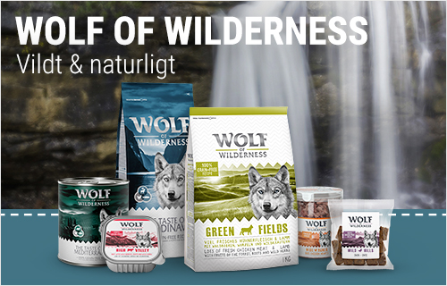 Wolf of wilderness >>