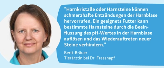 Berit Bräuer zu Blasenentzündung