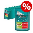 15% korting! Purina ONE Kattenvoer