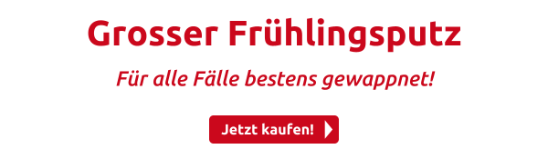 Grosser Frühlingsputz