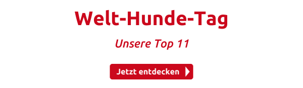 Welt-Hunde-Tag