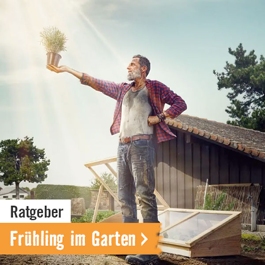 Ratgeber: Frühling im Garten