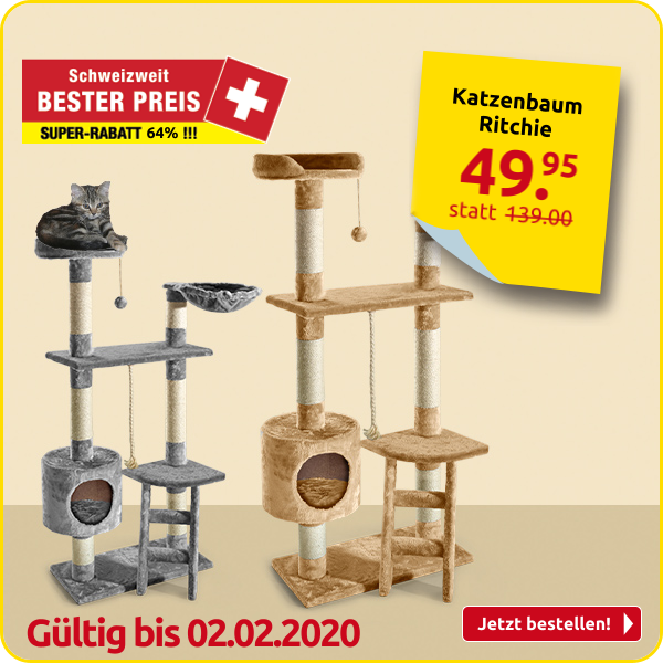 Katzenbaum Ritchie mit Leiter, grau