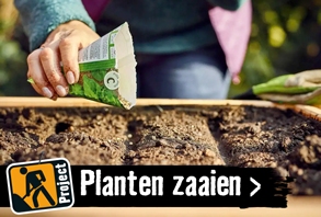 Planten zaaien & kweken | HORNBACH