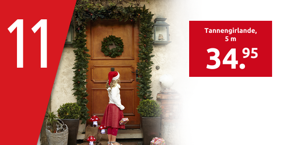 Tannengirlande, 5 m