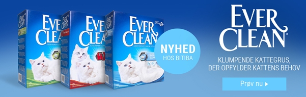 Ever Clean 