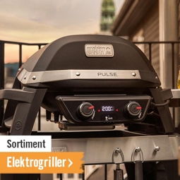 Elektrogriller im HORNBACH Onlineshop