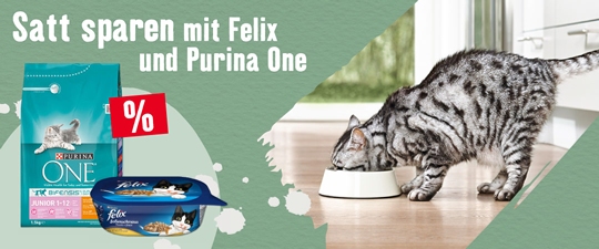 Rabatt auf Purina One und Felix