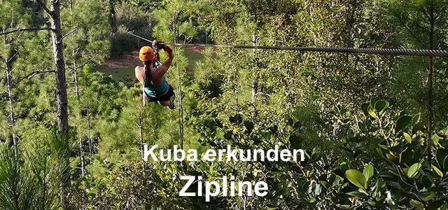 Zipline