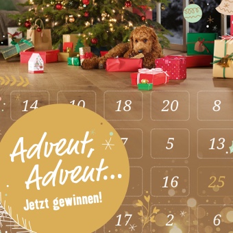 Advent, Advent... Jetzt gewinnen!