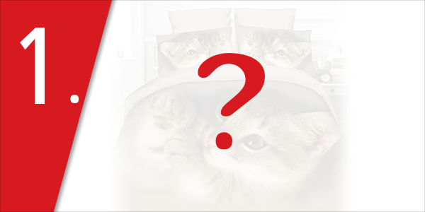 Garnitur «Kätzchen»