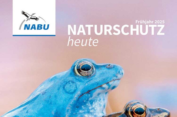 Die dünne Haut der Erde Die Frühlingsausgabe des NABU-Mitgliedermagazins