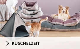 Kuschelzeit für Hund und Katze 