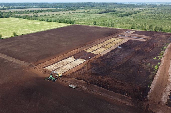 Moorschutzprojekt kommt voran Renaturierung von 15 Hektar im Ahlenmoor gestartet