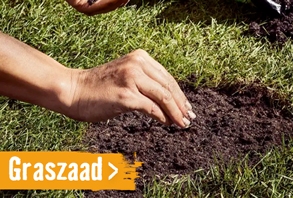 Graszaad | HORNBACH