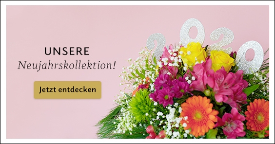Zur Kollektion