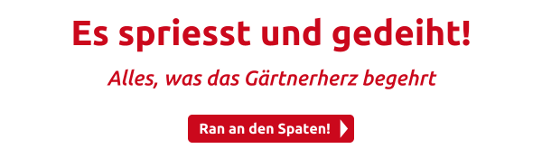 Es spriesst und gedeiht!