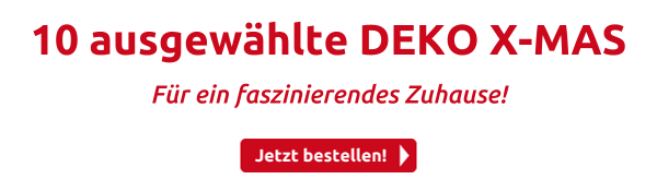 10 ausgewählte DEKO  X-MAS