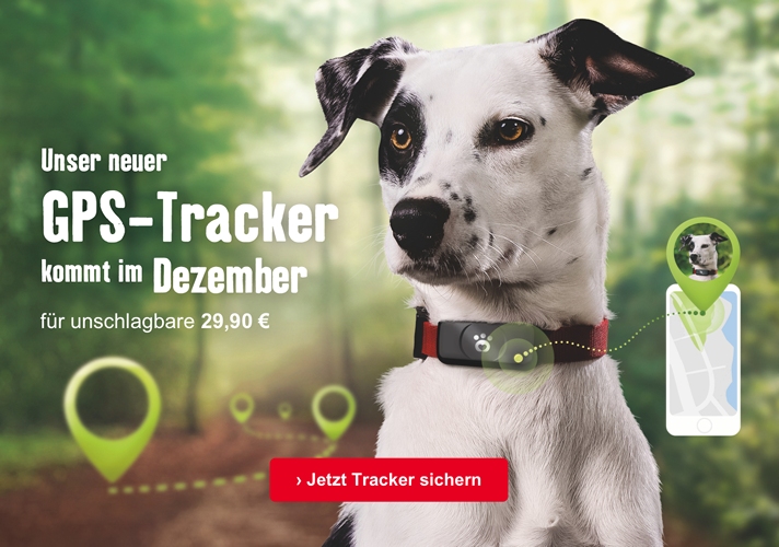 Jetzt Hundetracker sichern und sparen