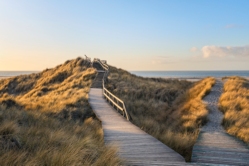 Amrum