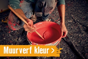 Muurverf kleur | HORNBACH