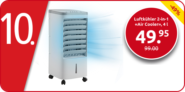 Luftkühler 2-in-1 «Air Cooler», 4 l