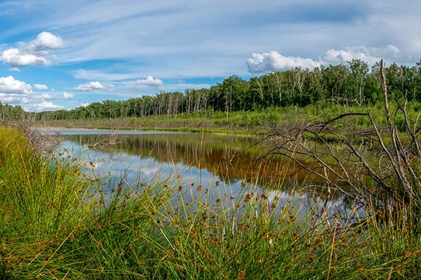 Happy End für Naturparadies bei Leipzig
29 Hektar im ehemaligen Tagebau Rusendorf gerettet