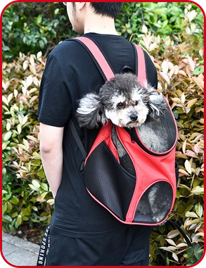 Rucksack für Tiere