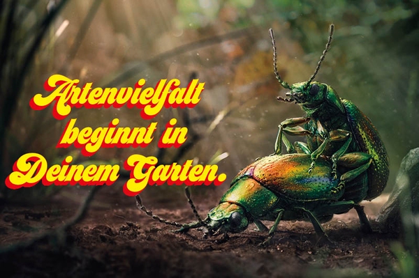 Artenvielfalt beginnt in Deinem Garten. 